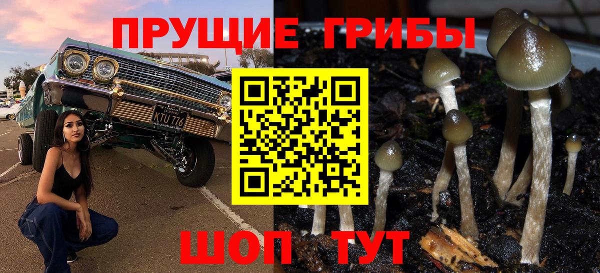 Псилоцибиновые грибы GOLDEN TEACHER Ханты-Мансийск