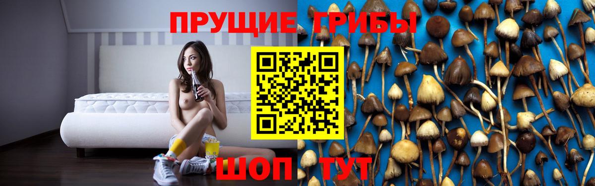 Ханты-Мансийск  Псилоцибиновые грибы MAGIC MUSHROOMS  Вход с VPN 